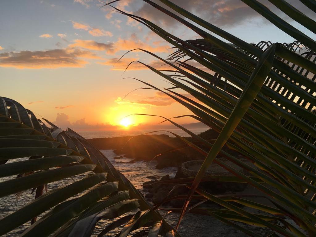 Forever Cottage Robins Bay Exteriör bild