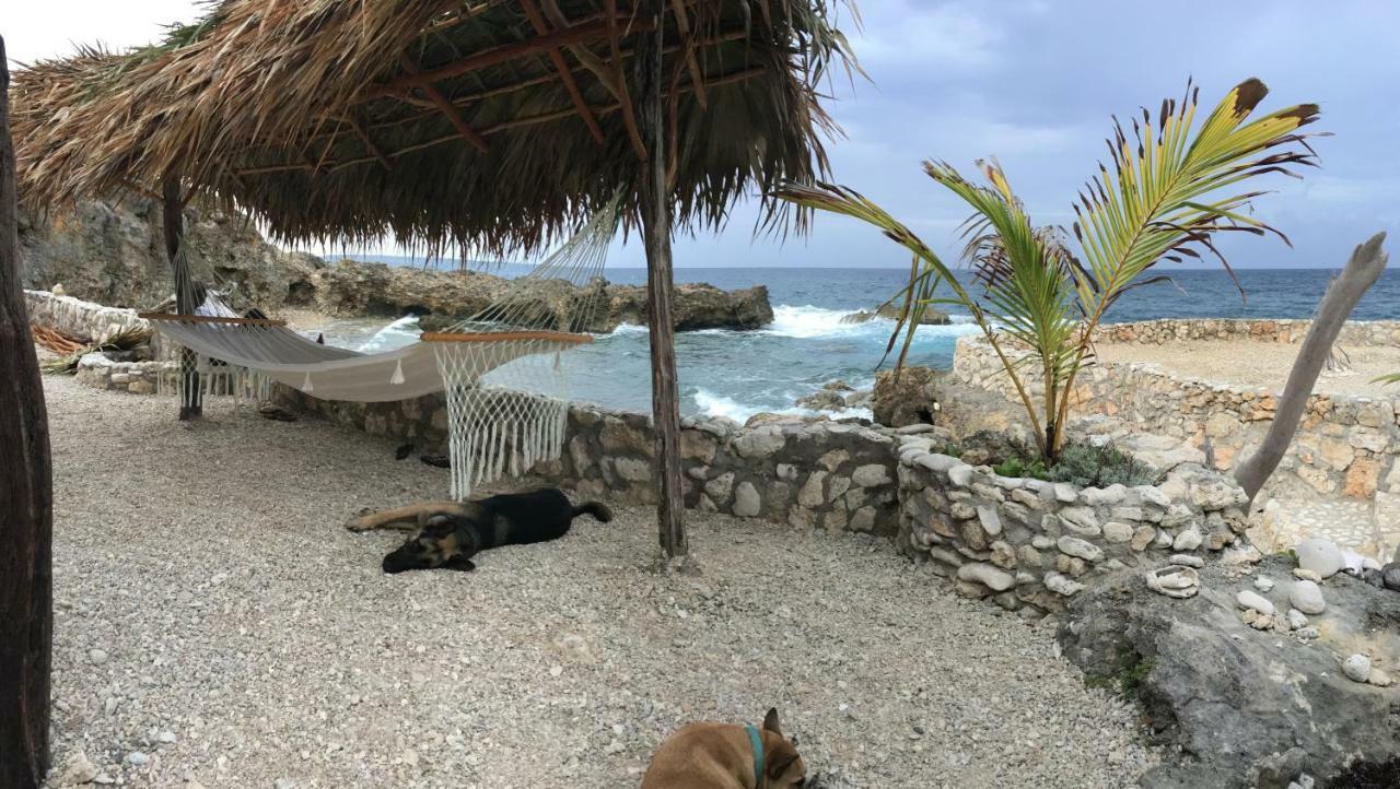 Forever Cottage Robins Bay Exteriör bild